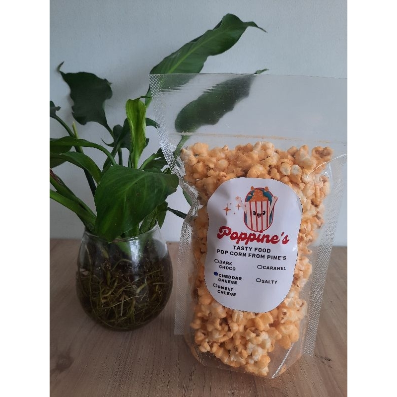

POPCORN CINEMA KEMASAN POUCH
