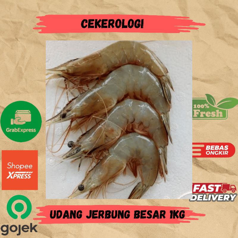 

Udang Jerbung Besar 1kg / Udang Jerbung / Udang / Udang Jerbung Fresh Berkualitas / JABODETABEK / Seafood Segar / Seafood