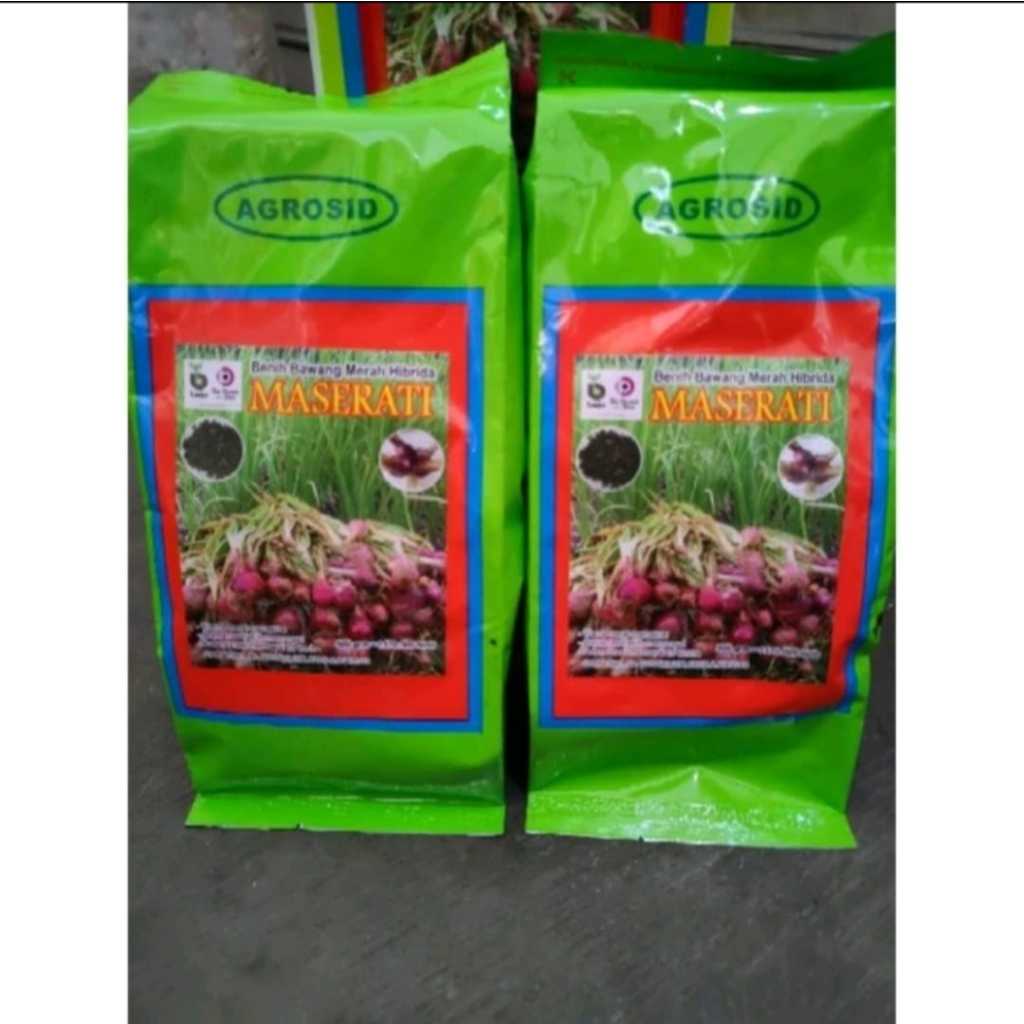 Benih Bawang Merah Hibrida MASERATI 500gr (-+170.000 butir)