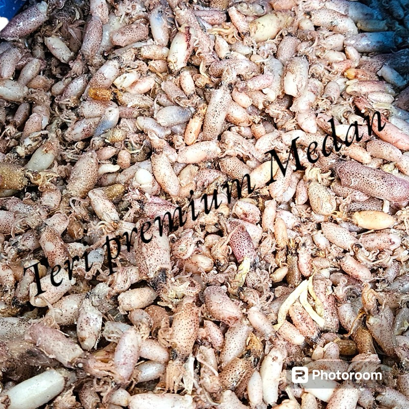 

babycumipremium#cumibabymedan#sambalbabycumi#babycumimedan#oleholehmedan