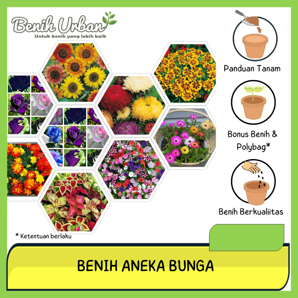 Aneka Biji Benih Bunga Bibit Tanaman Hias Matahari Mawar Sedap Malam Lotus Krisan - BENIH URBAN