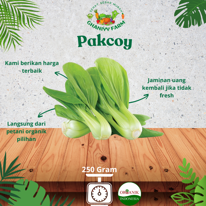 

Sayur Organik Pakcoy Organik 250 Gram