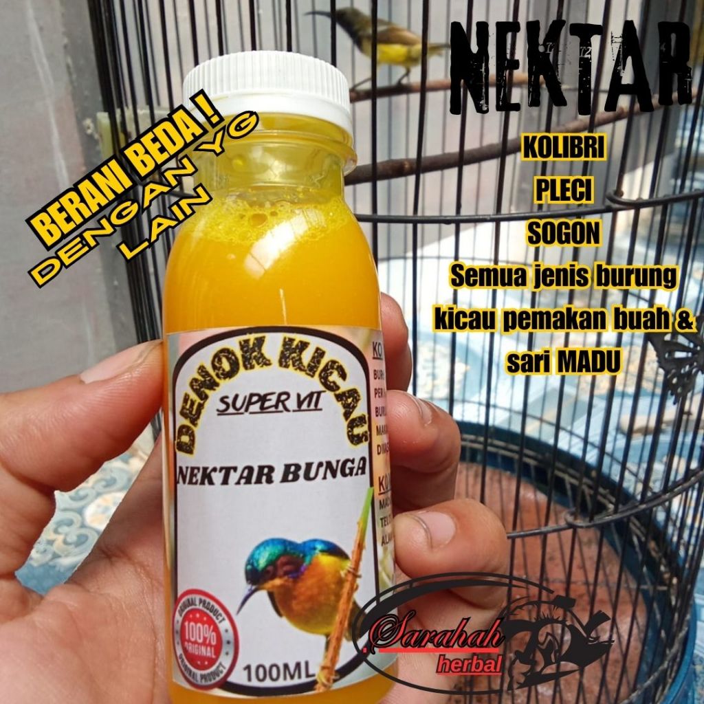 nextar kolibri pleci sogon gacor PROMO nektar kicau
