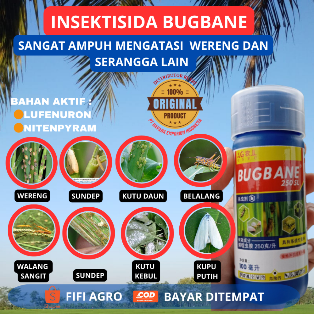 BUGBANE INSEKTISIDA PALING AMPUH MENGATASI WERENG ISI 100ML