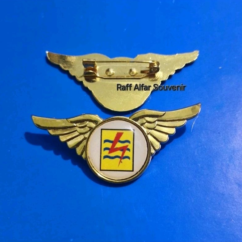 PIN PLN MODEL WING