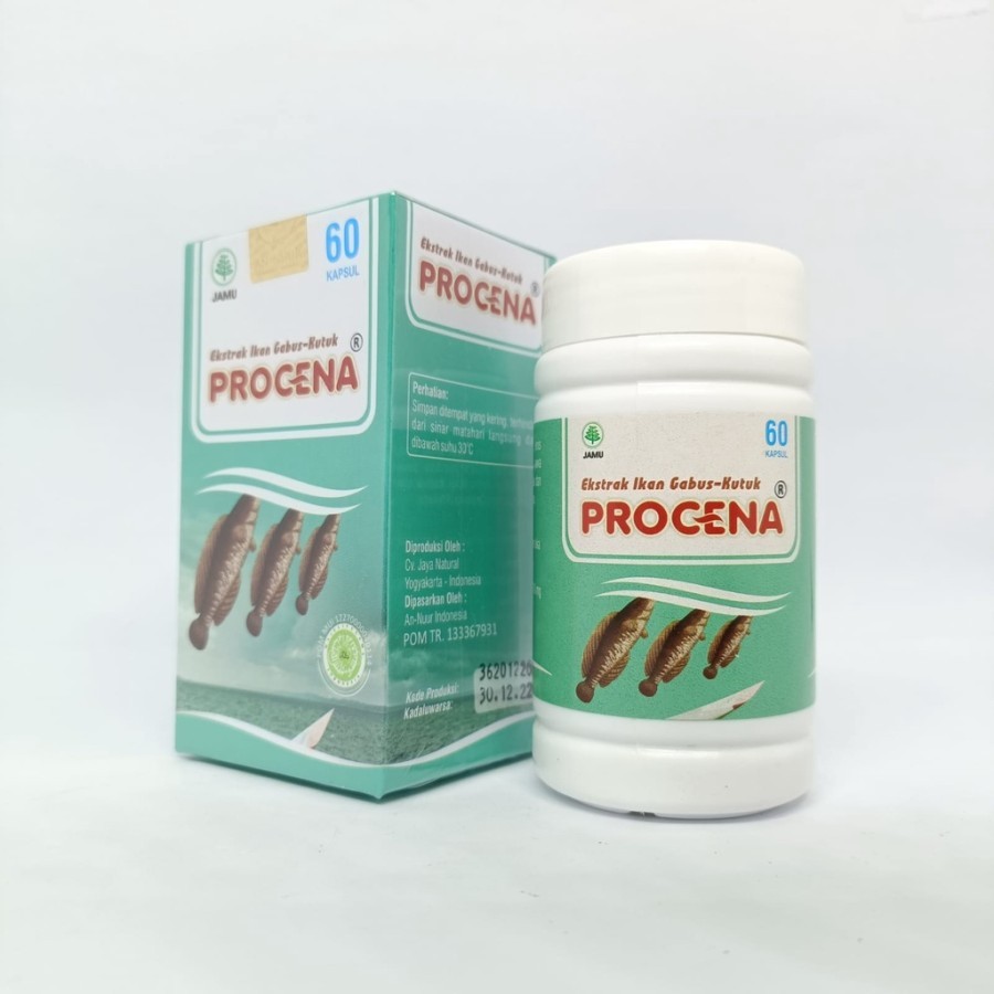 EXTRAK IKAN GABUS-KUTUK PROCENA 60 kaps ampuh / atasi luka pasca operasi / obat luka