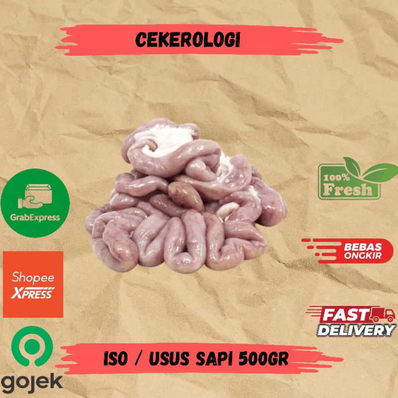 

Iso / Usus Sapi 500gr / Iso Sapi / Usus Sapi / Usus vSapi Fresh Berkualitas / JABODETABEK / Daging Sapi / Sapi