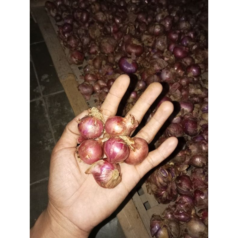 

Bawang merah super 1000gram