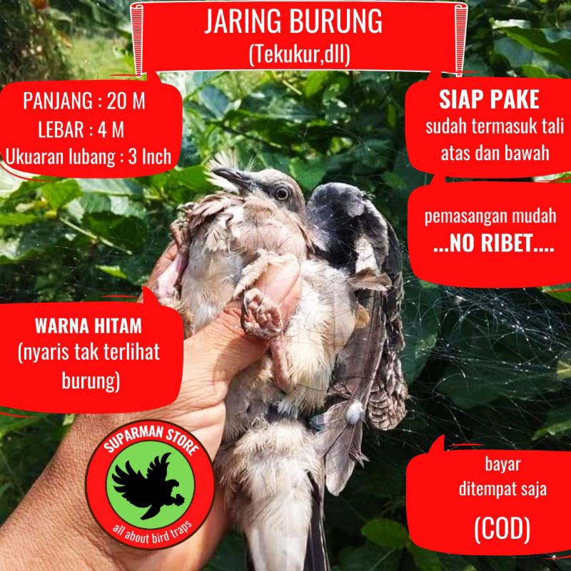 JARING BURUNG TEKUKUR 20 meter JARING BURUNG TEKUKUR SIAP PAKAI MURAH JARING TINGGAL PASANG JARING B