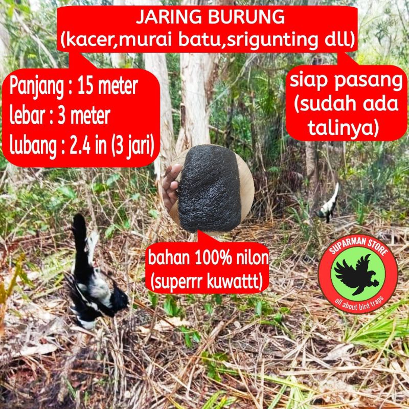 JARING BURUNG KACER JARING BURUNG NYLON JARING BURUNG BAHAN NILON JARING BENANG NYLON JARING NILON J