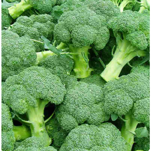 

KIRIM INSTAN Brokoli Fresh
