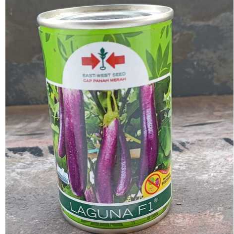 Benih Terong Laguna 50gr ( Expired )