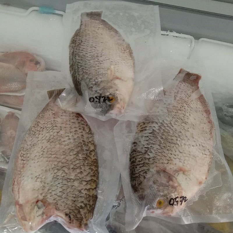 

ikan gurami (no bau tanah)