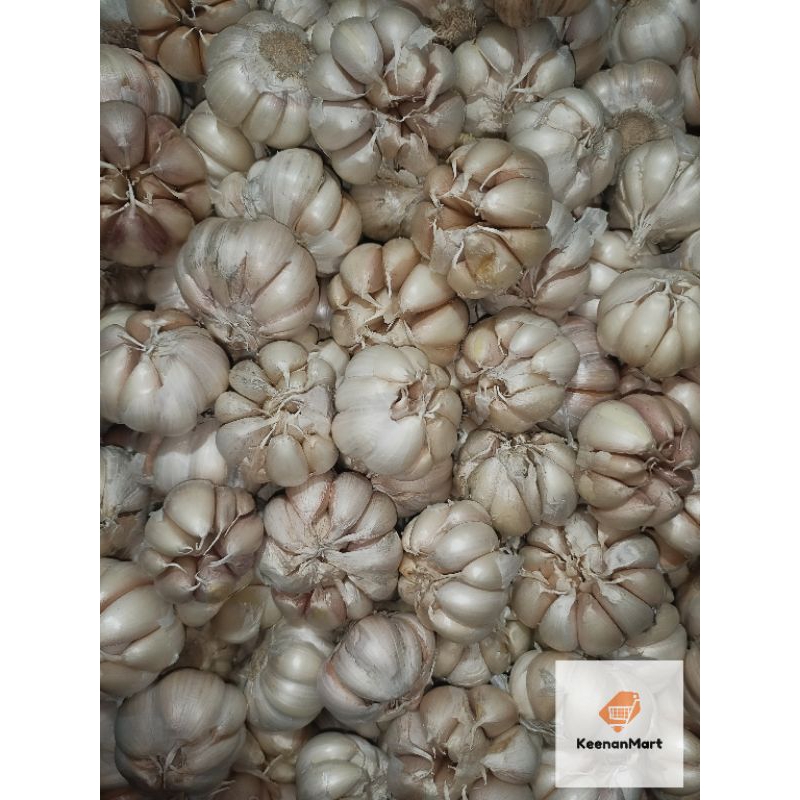 

Bawang Putih Sinco 1Kg Kualitas Bagus