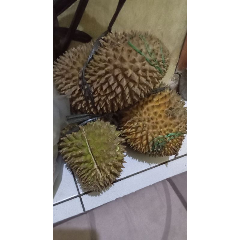 

DURIAN LOKAL MANIS DAN TEBAL