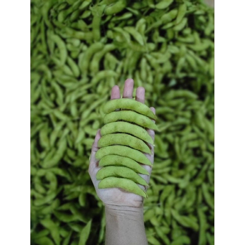 

EDAMAME FRESH SUPER PREMIUM 1KG