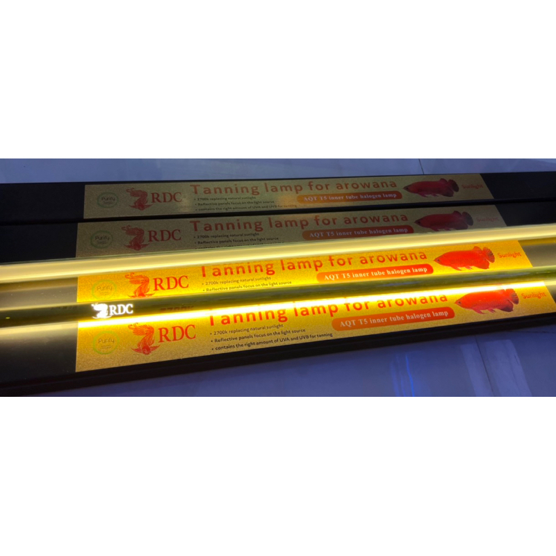 RDC LAMPU TANNING ARWANA AROWANA 2700K 113cm 112cm kuning Lamp Aquarium 120 cm