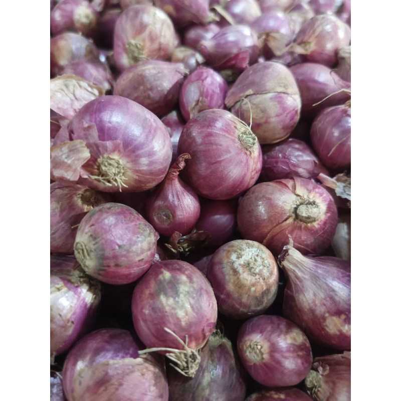 

Bawang Jawa Bawang Halus Brebes