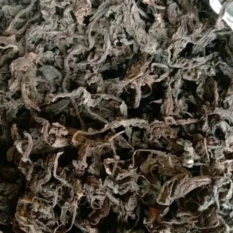 

daun dewa kering 1 kg
