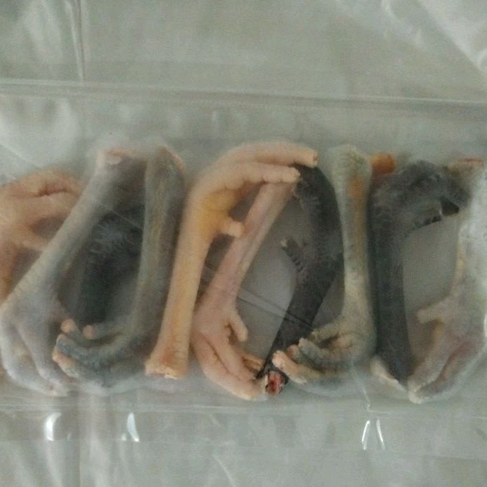 

KAKI AYAM KAMPUNG frozen 10 PCS