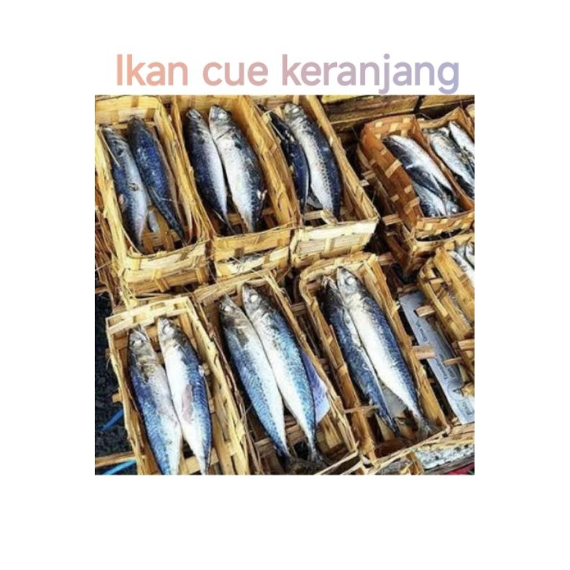 

Ikan Tongkol Pindang (3 keranjang)