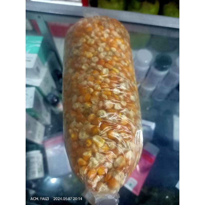 

Jagung Probolinggo