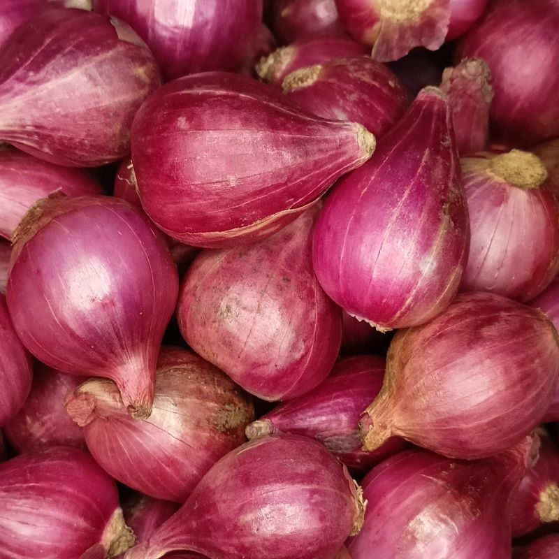 

Bawang brebes ukuran besar super 500g