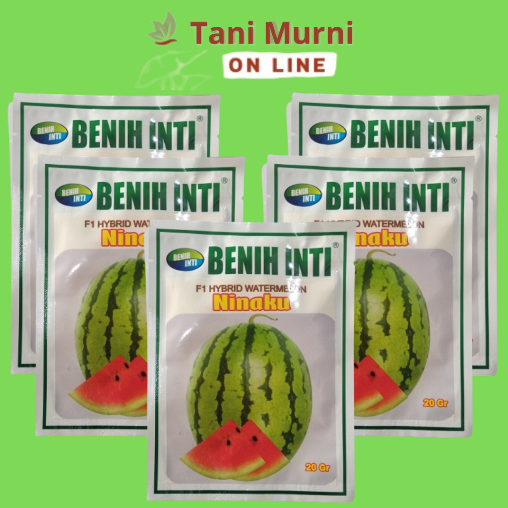 Benih Semangka Lorek Merah Hybrid F1 NINAKU Benih Inti 20 Gr