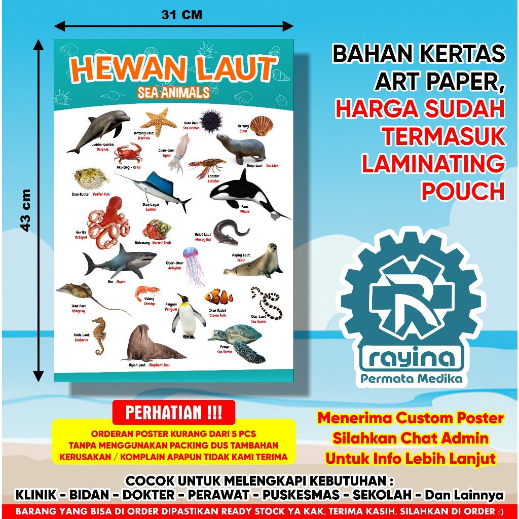 Poster Edukasi Hewan Laut