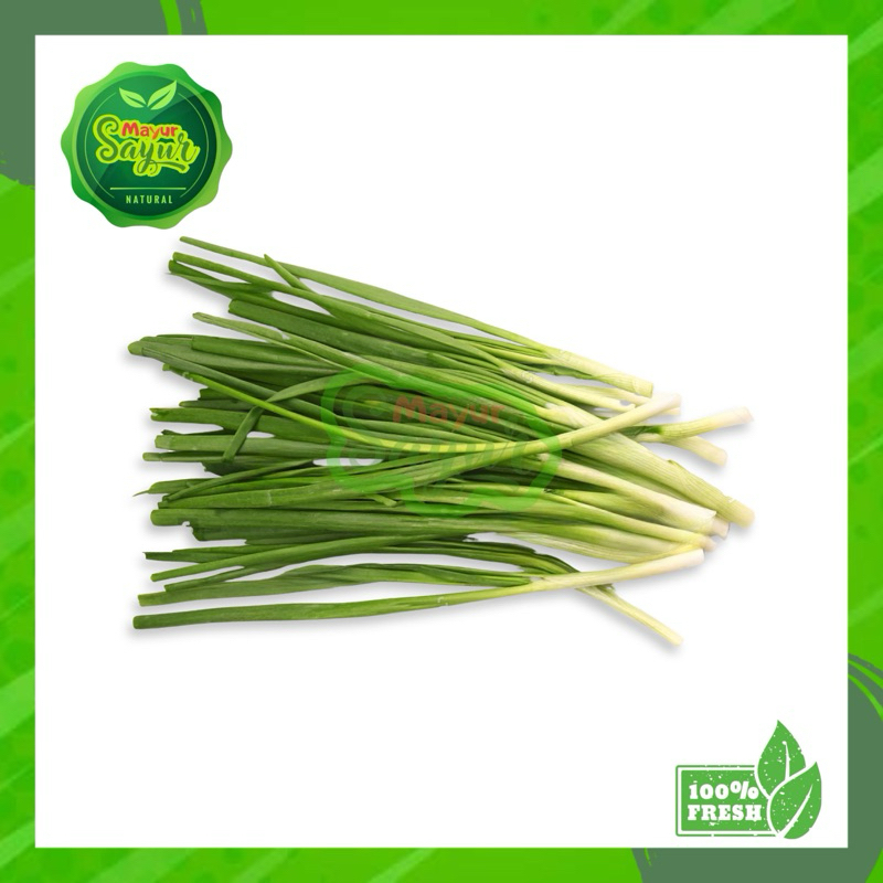 

KIRIM INSTAN Daun Kucai / Bawang Kucai / Perpack