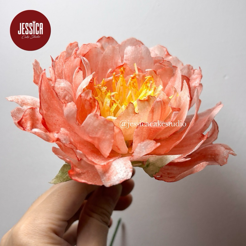 

Wafer Paper Peony Size XL (Handmade)