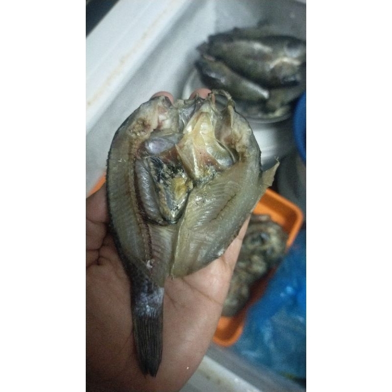 

ikan mujair dan nila kering