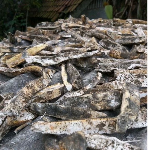 

Gatot Singkong Asli dan Original 1000 gr Netto