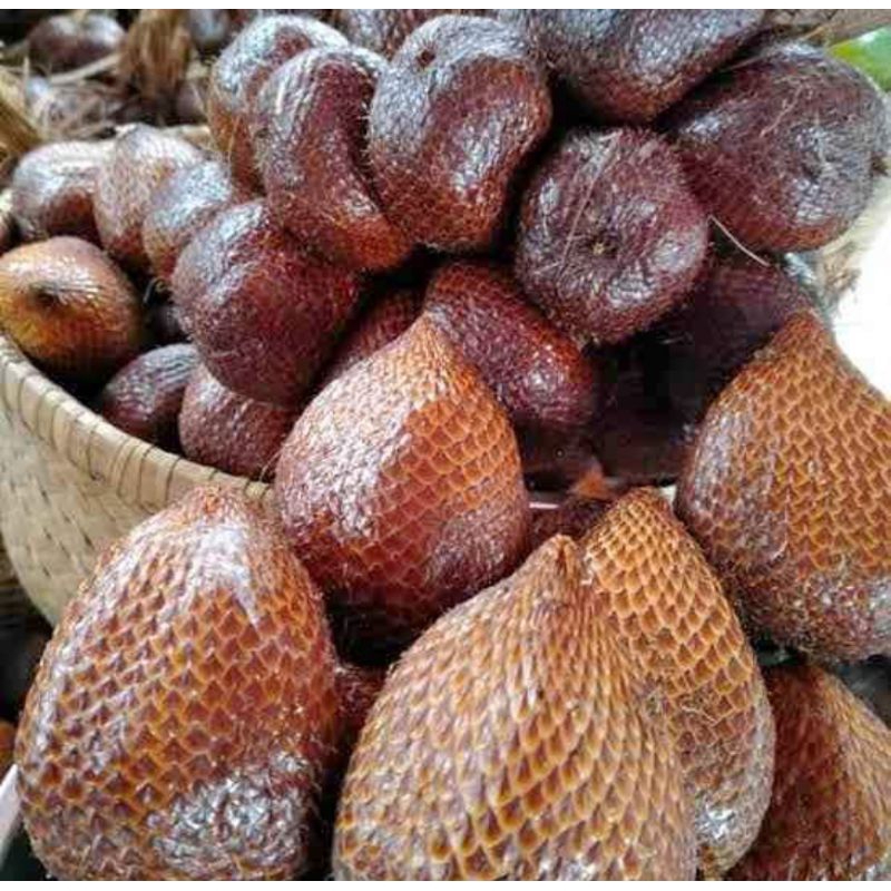 

Salak Pondok Semar Manis Legit