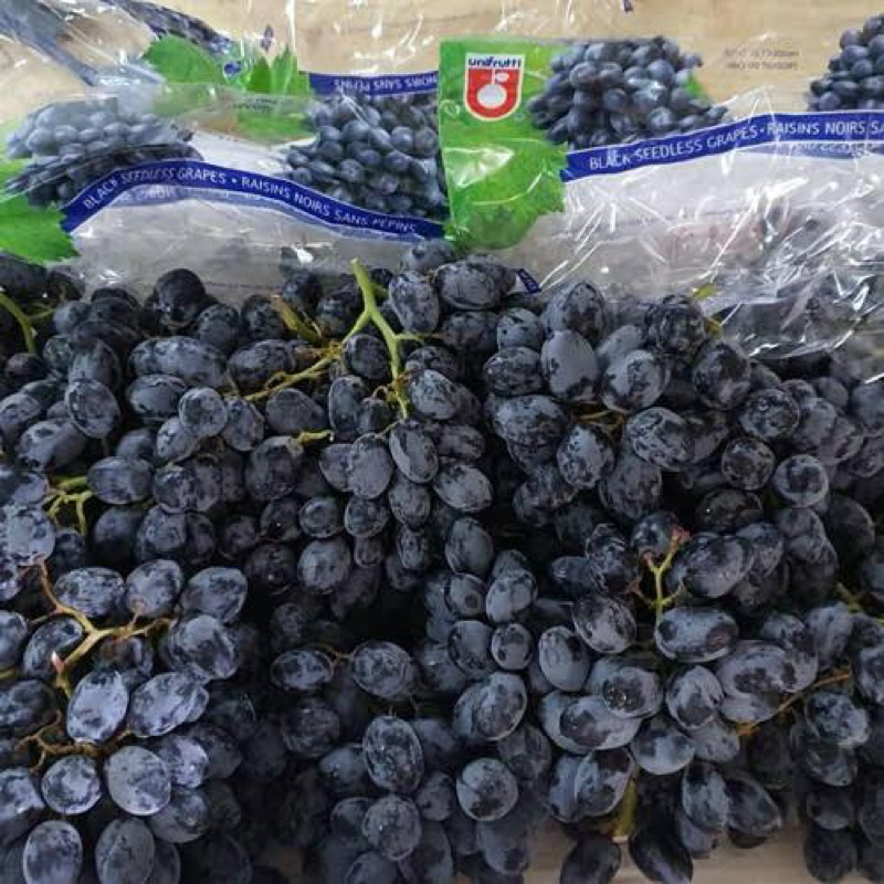 

[REPACK] Anggur Autum Royal Crispy 500 Gram