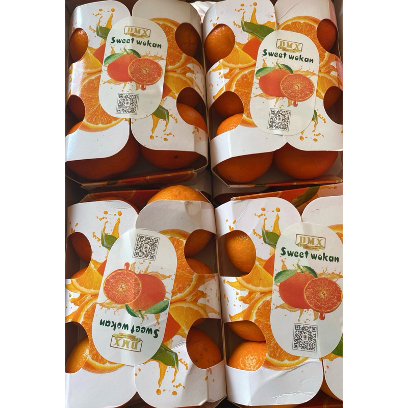 

DMX Sweet Wogan Isi 6 Pcs @750 Gram