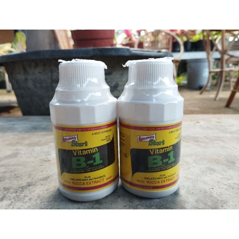 Vitamin B1 buat tanaman hias bunga asli original