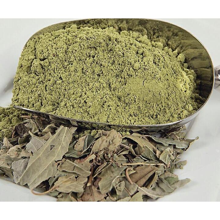 

Serbuk / Bubuk daun Bidara Arab Sidr Powder (Powder of Jujube Leaf)