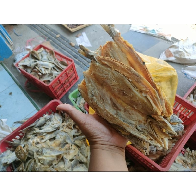 

ikan asin bloso jenggalak/ kacangan / gabus laut 1 kilogram