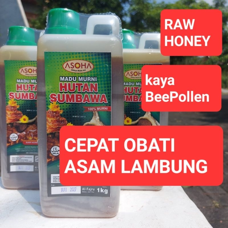

ASOHA Madu Hutan Liar Sumbawa 1kg | Raw Honey | Kualitas SNI | Madu Asam Lambung