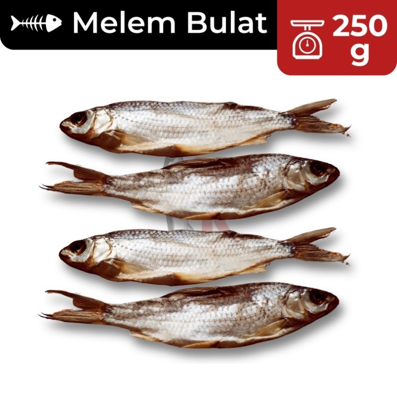 

250g Ikan Asin Melem Bulat / HO Bulat SUPER / Ikan Asin Melem / Ikan Asin Murah / Ikan Asin Enak