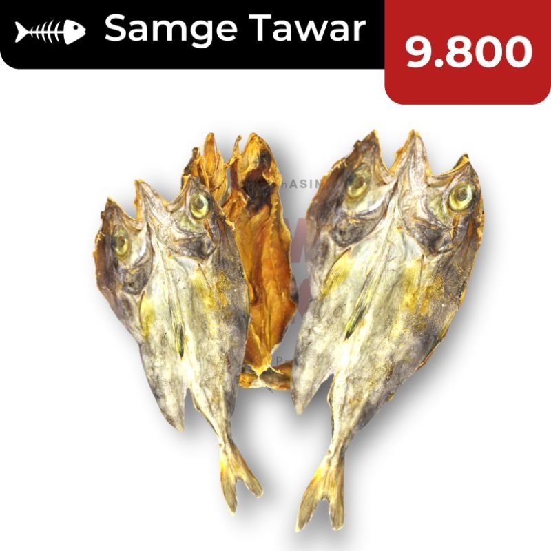 

ECERAN!!! 10k Samge Tawar SUPER / Kepala Batu Tawar / Ikan Asin Samge / Ikan Asin Murah / Ikan Asin Enak