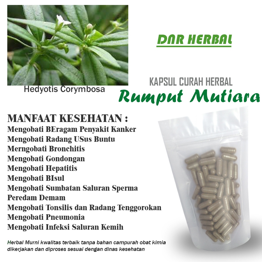 RUMPUT MUTIARA 100 Kapsul Curah Herbal Sumbatan Saluran Sperma Kanker