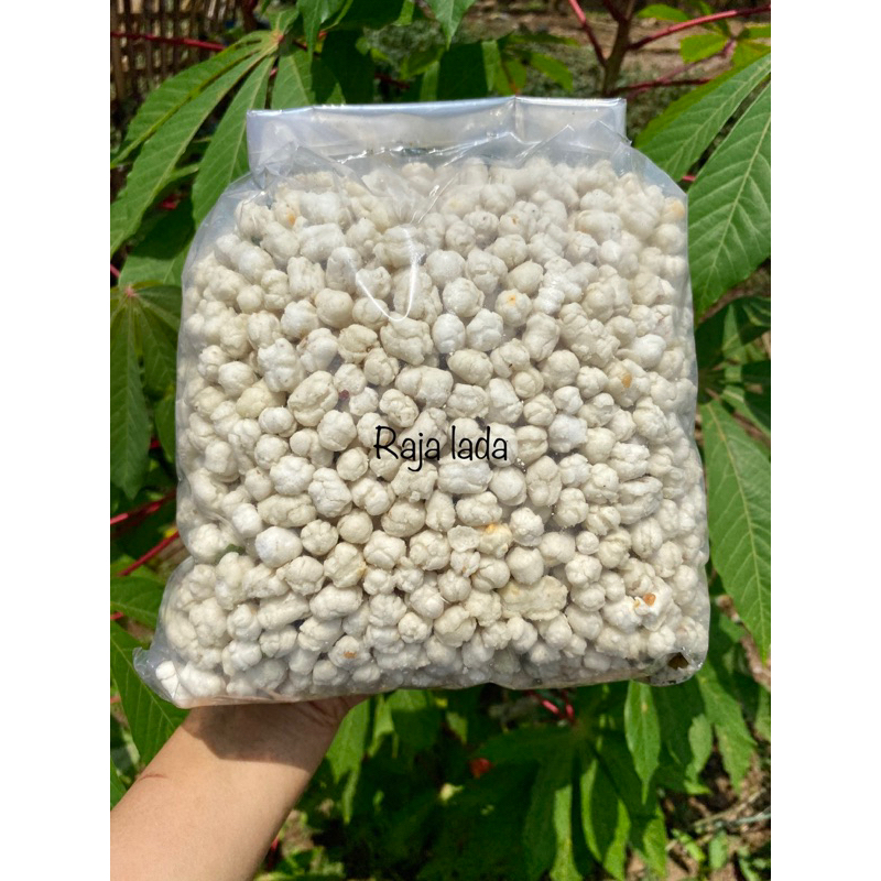 

Pilus cikur Original/pilus kencur/tiktak/tiktuk 1kg Raja Lada