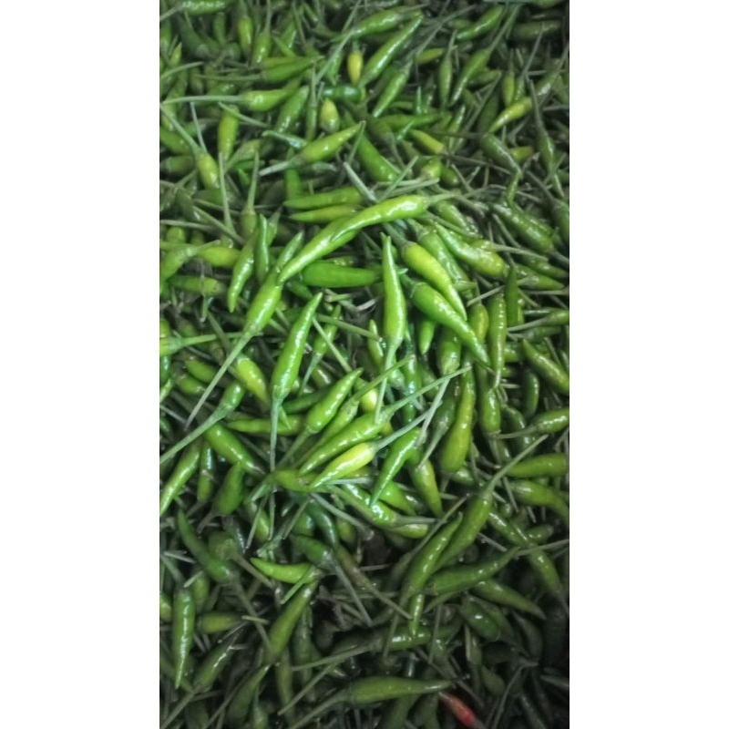 

Cabe Rawit Hijau Segar