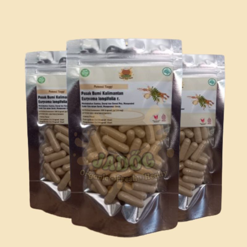 Kuat Durasi  Kapsul Pasak Bumi Kalimantan 100% Original Berisi Serbuk Pasak Bumi Kalimantan/Tongkat 