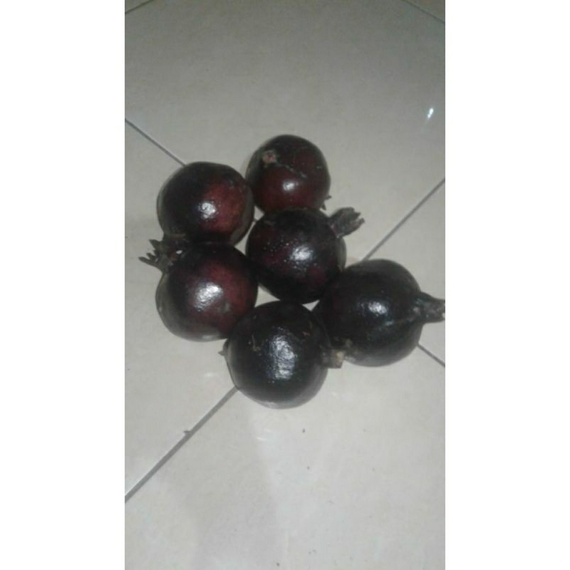 

buah delima hitam/wulung 1kg