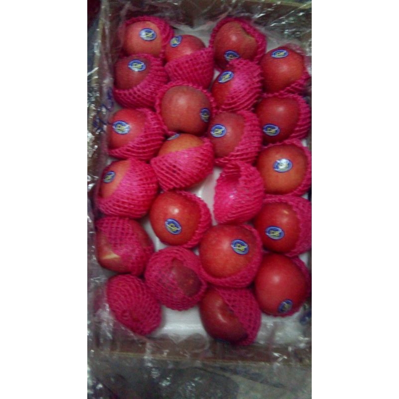 

buah apel Fuji premium fresh/buah apel garing manis/buah apel manis banyak air