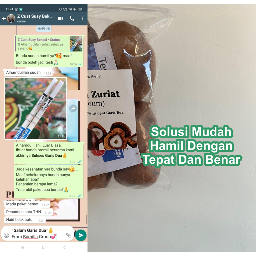 

Buah Zuriat Zuriyat Promil Mesir Kesuburan Pria Wanita Asli Original Free Testpack Original