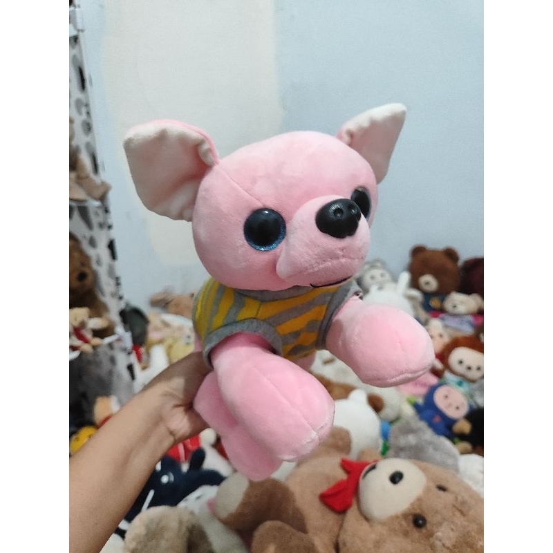 BONEKA ANJING CIHUAHUA PRELOVED
